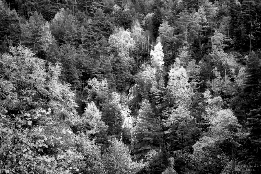 waterfall in autumn / salt d'aigua a la tardor