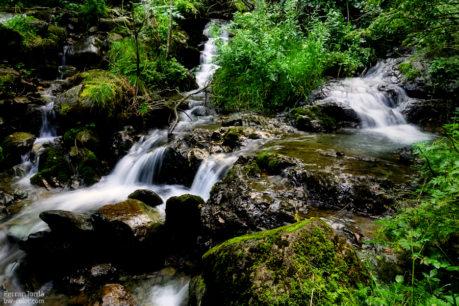 water everywhere / l'aigua