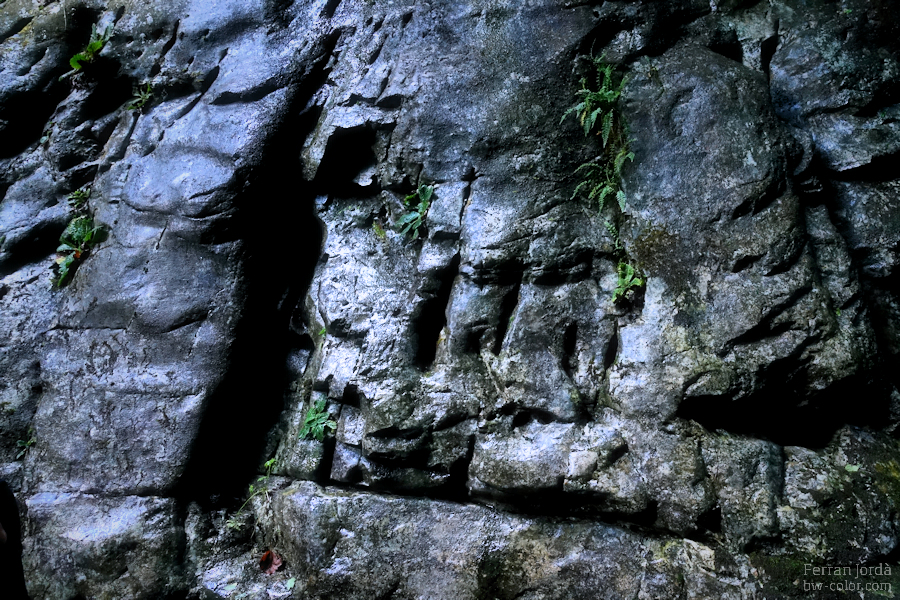 stone / la pedra