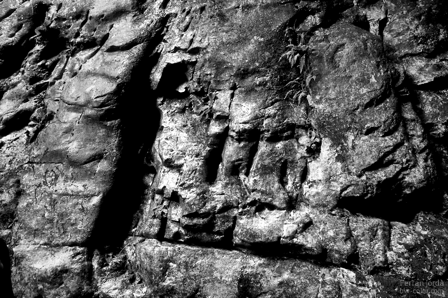 stone / la pedra