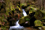 El torrent de Toses