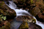 autumn rock in the river / roca de tardor enmig del riu