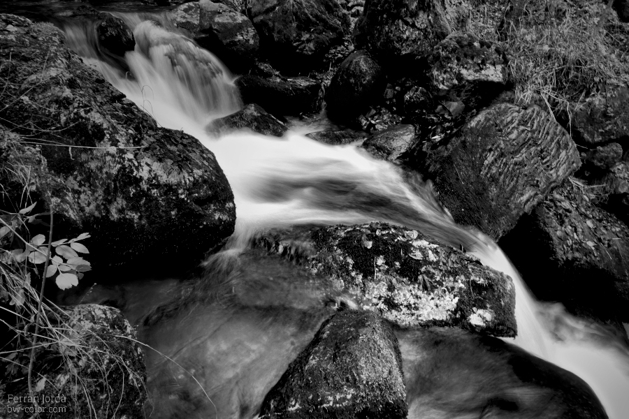autumn rock in the river / roca de tardor enmig del riu