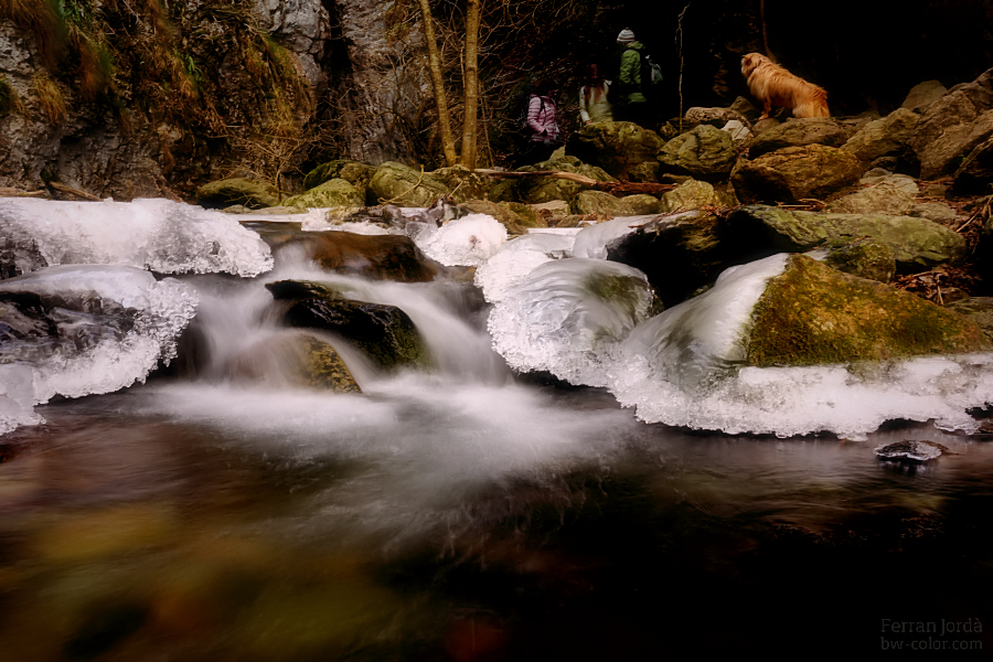 a walk among the river in winter / un passeig pel riu a l’hivern