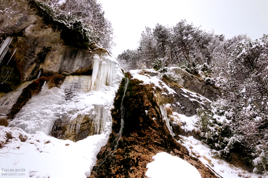 winter landscapes / paisatges de l'hivern