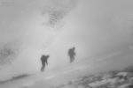 facing the blizzard / enfrontant-se al torb