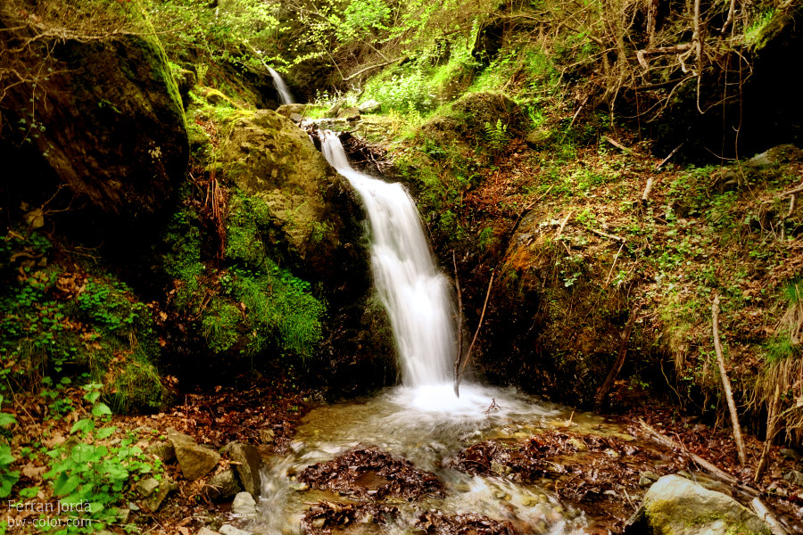 Torrent de la Ruira - II