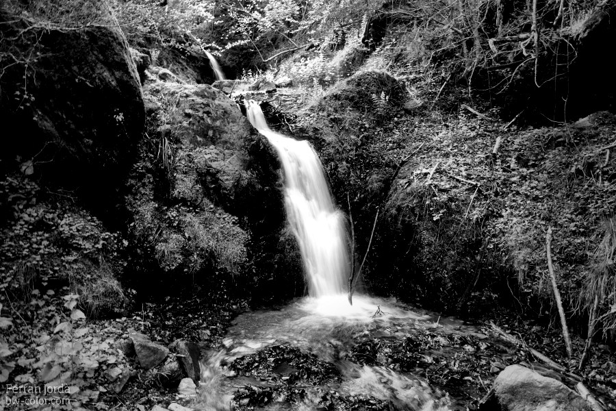 Torrent de la Ruira - II