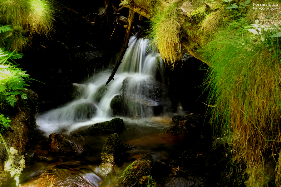 Torrent de la Calç