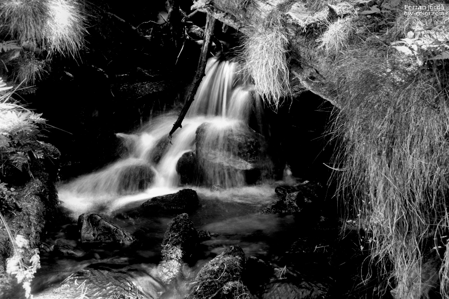 Torrent de la Calç