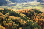 about autumn landscapes / de paisatges de tardor